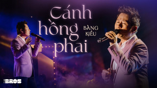 Cánh Hồng Phai